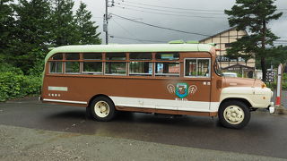 観光用のバスです