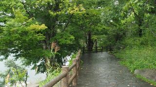 気軽なハイキングコース