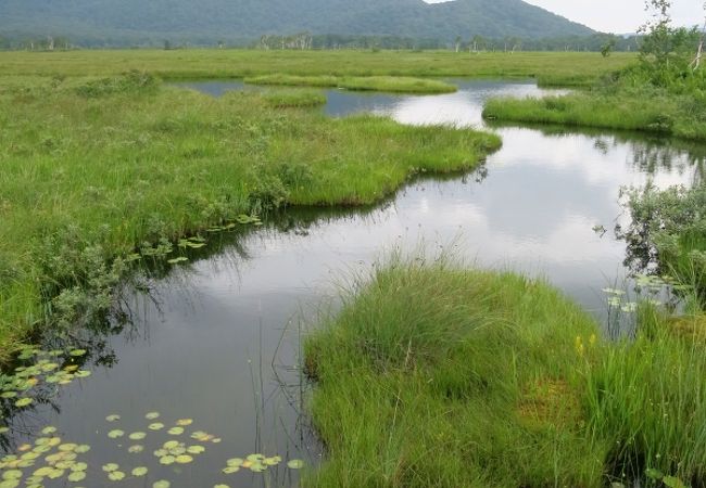 尾瀬ヶ原を横切る清流