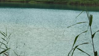 様々なサイズと色の沼