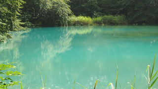 一番美しかったです