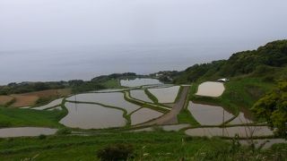 日本海と棚田のコラボ