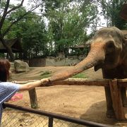 動物と身近に触れ合える！