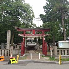 赤い鳥居が素敵