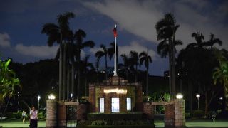 ヤシの木の並木