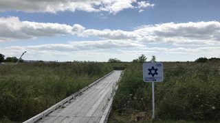 気軽にサロベツ原野を探索できるコース