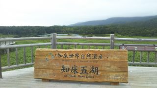 強風が吹く中の観光