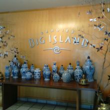 店内のメインディスプレイ