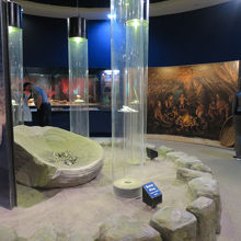 出土品の展示室とビデオ上映は必見