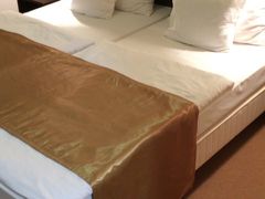 Garden Hotel Wellness és Konferencia 写真