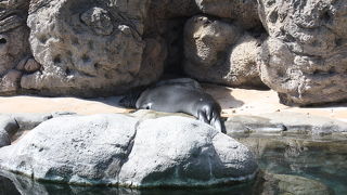 コンパクトです