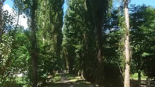 幻想的な景色です