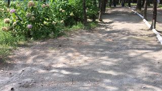 マレットゴルフ出来ます。  【白馬グリーンスポーツの森】