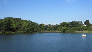 池の周りを散歩すると気持ち良い