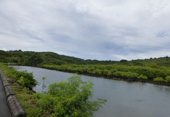 のんびりした島