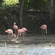 小さな動物園  【小諸市動物園】