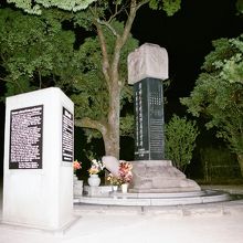 韓国人原爆犠牲者慰霊碑、全景。