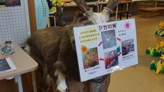 なかなか楽しい施設でした