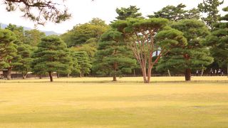 故郷に城がある・・・いいなぁ～