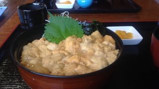 北海道積丹半島うに丼