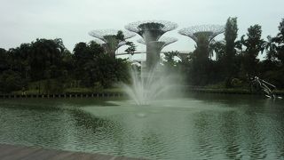 マリーナベイサンズの奥の植物園