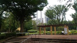 朝でも結構な人があるいています。