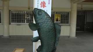 鯉の守り神さま？