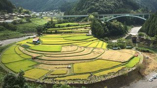 実りの秋がオススメです