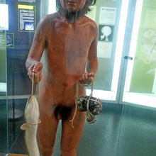 港川人　最新のオーストラロイドだ