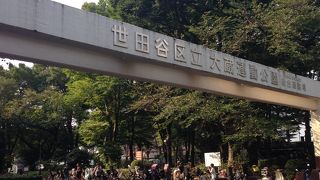 アスレチックはイマイチ