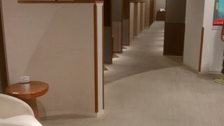 試飲、試食がたまにあります。