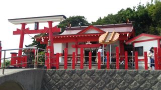 蓋を頭に載せる