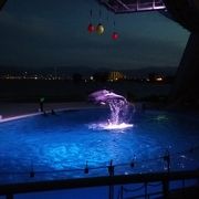 夜の水族館