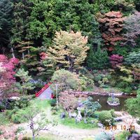 1500坪の広い回遊式庭園