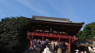 鎌倉といえば鶴岡八幡宮