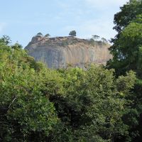 シギリヤロックのアップ