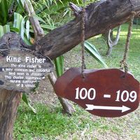 案内板。見られる野鳥が描かれてます