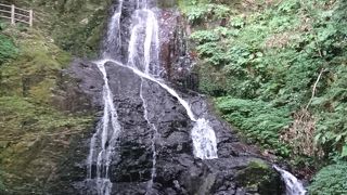 秋芳白糸の滝