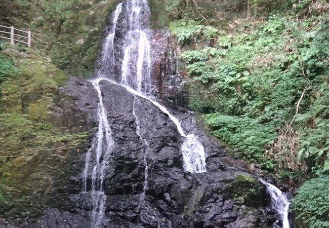 秋芳白糸の滝