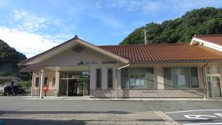 特急電車も停まります。