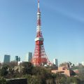 東京タワー好きのひとにおすすめ