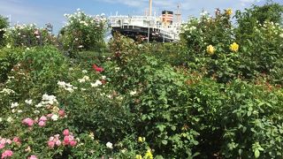 昔と変わらない景色でのんびり散歩