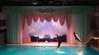 かわうそが多めの、神奈川のレトロな水族館