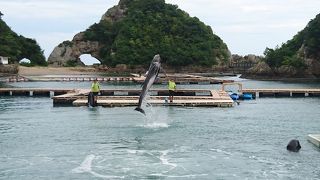 高いかな…"くじらの博物館"