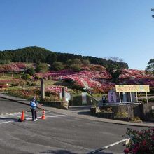 駐車場はかなり混みあいます。