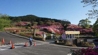 つつじ祭りのときは駐車場有料