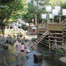 ちびっ子が思いっきり水遊びできる By みつ 小松川境川親水公園のクチコミ フォートラベル