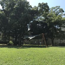 芝生が気持ちいい