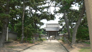 藤の花で知られる神社