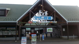 マザーファームツアーも楽しみました